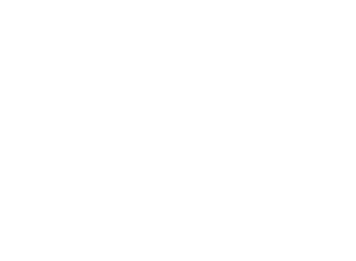 toptalents_logo_1c_white_@500px