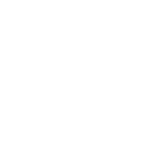 life_icon_v3