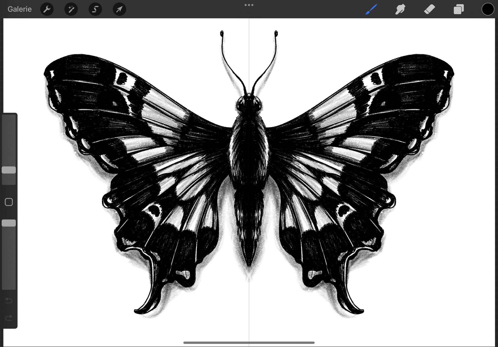 procreate_schmetterling_sandrasuesser_v2 Procreate Schmetterling