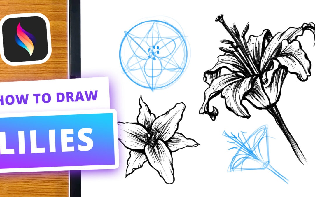 YOUTUBE | Lilien zeichnen lernen | Procreate Tutorial